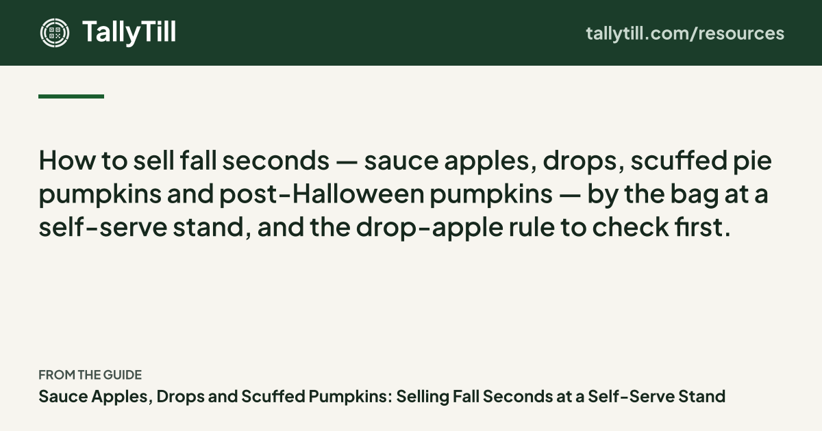 Share card: the excerpt, the guide title and the TallyTill logo