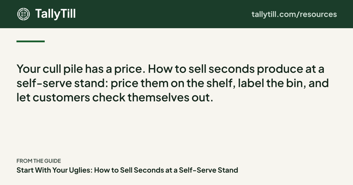 Share card: the excerpt, the guide title and the TallyTill logo